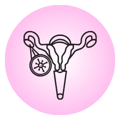 Ovarian cysts icon